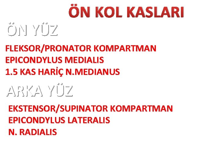 ÖN YÜZ ÖN KOL KASLARI FLEKSOR/PRONATOR KOMPARTMAN EPICONDYLUS MEDIALIS 1. 5 KAS HARİÇ N.