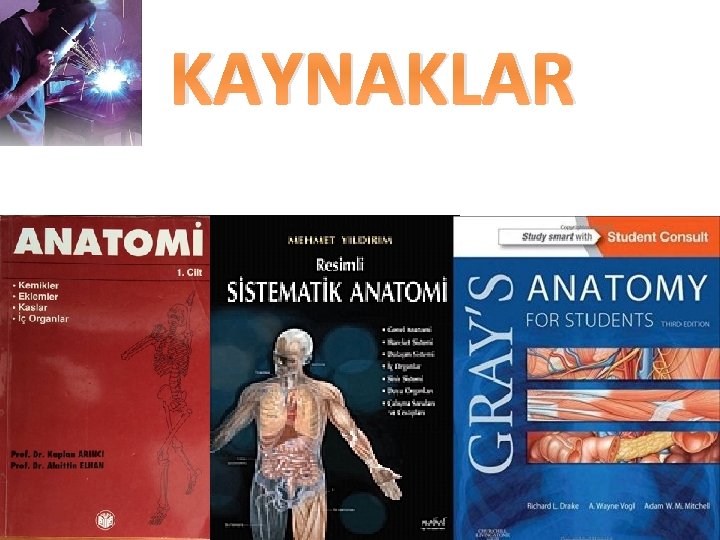 KAYNAKLAR 