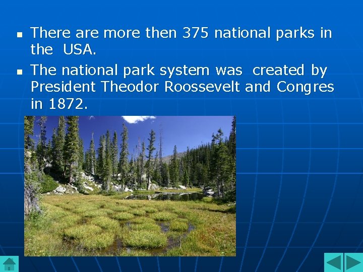 n n There are more then 375 national parks in the USA. The national