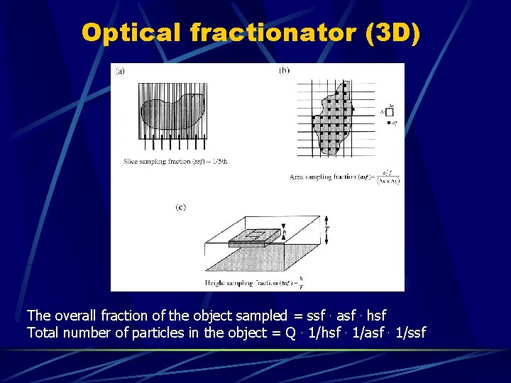 Optical fractionator (3 D) The overall fraction of the object sampled = ssf. asf.