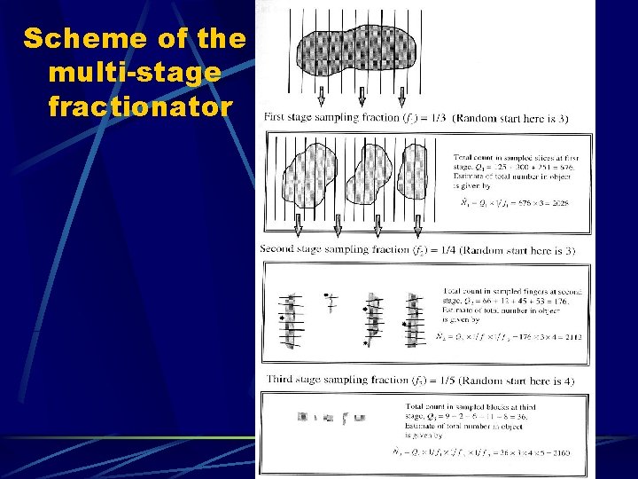 Scheme of the multi-stage fractionator 
