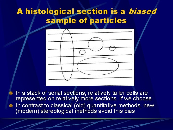 A histological section is a biased sample of particles In a stack of serial