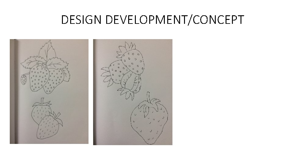 DESIGN DEVELOPMENT/CONCEPT 