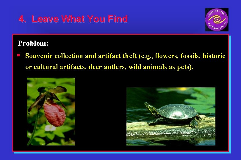 4. Leave What You Find Problem: § Souvenir collection and artifact theft (e. g.