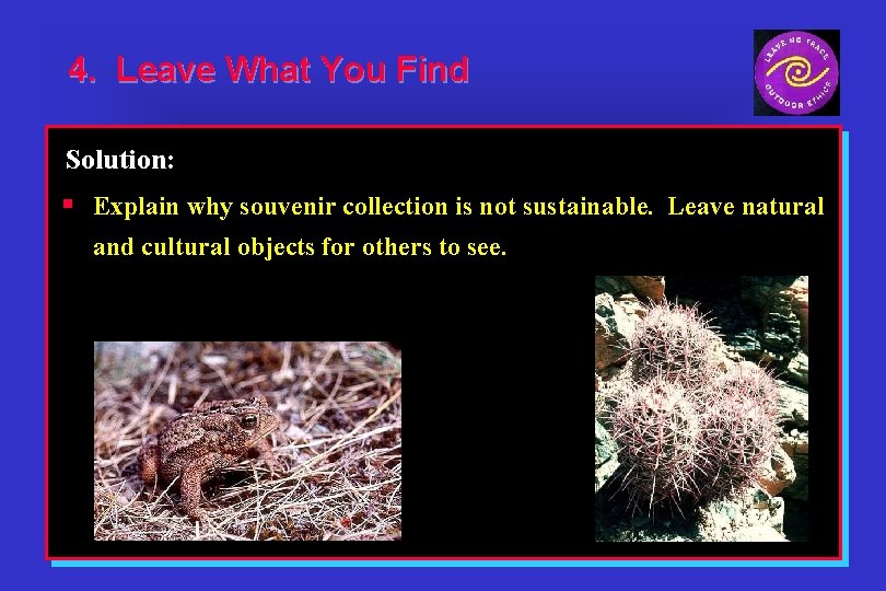 4. Leave What You Find Solution: § Explain why souvenir collection is not sustainable.