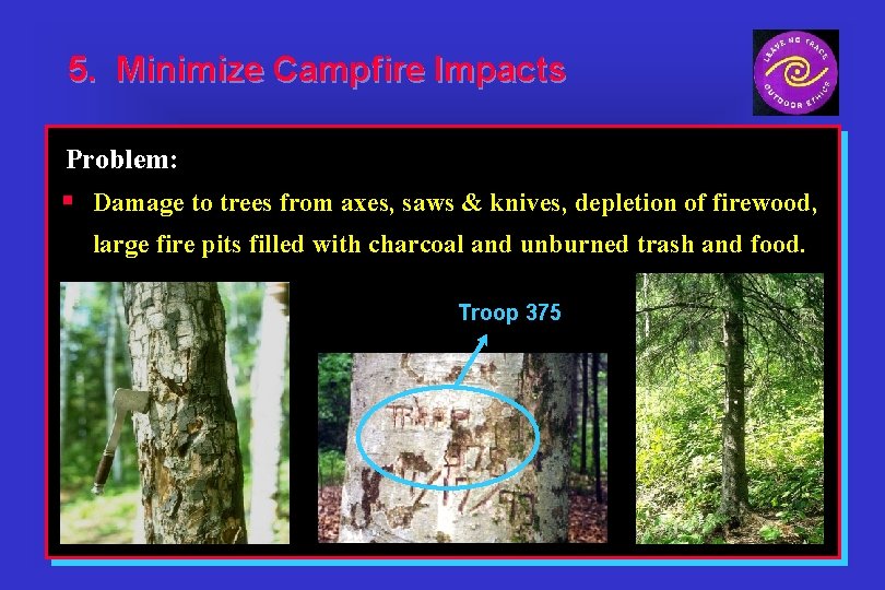 5. Minimize Campfire Impacts Problem: § Damage to trees from axes, saws & knives,