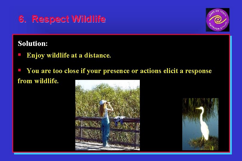 6. Respect Wildlife Solution: § Enjoy wildlife at a distance. § You are too