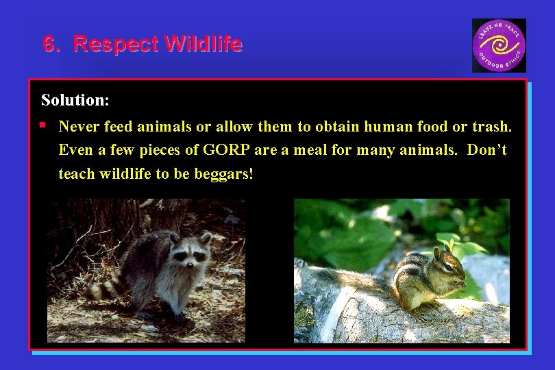 6. Respect Wildlife Solution: § Never feed animals or allow them to obtain human