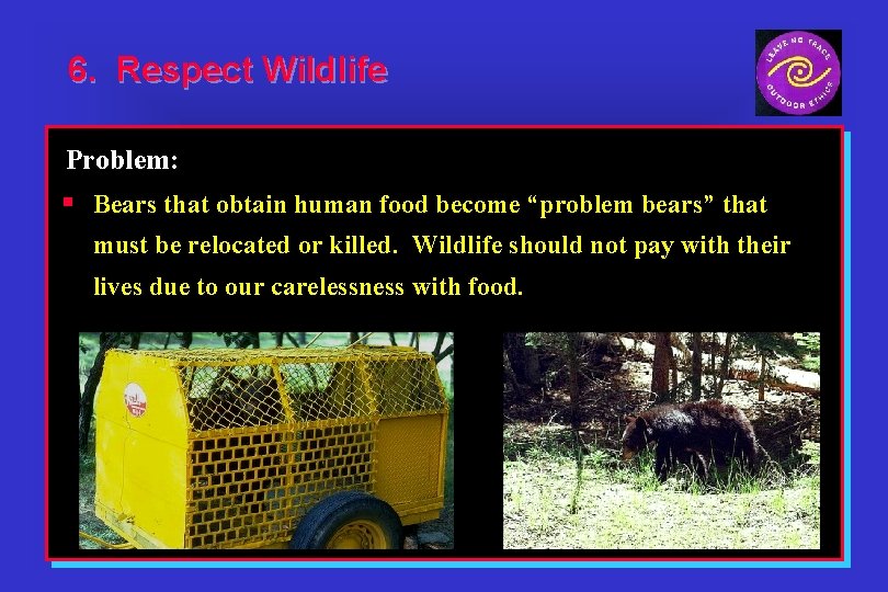 6. Respect Wildlife Problem: § Bears that obtain human food become “problem bears” that