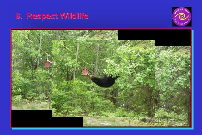 6. Respect Wildlife 