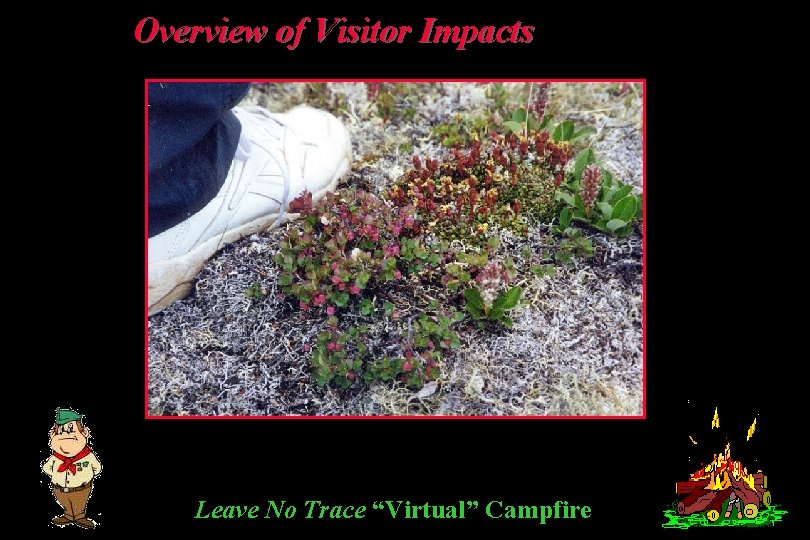 Overview of Visitor Impacts Leave No Trace “Virtual” Campfire 