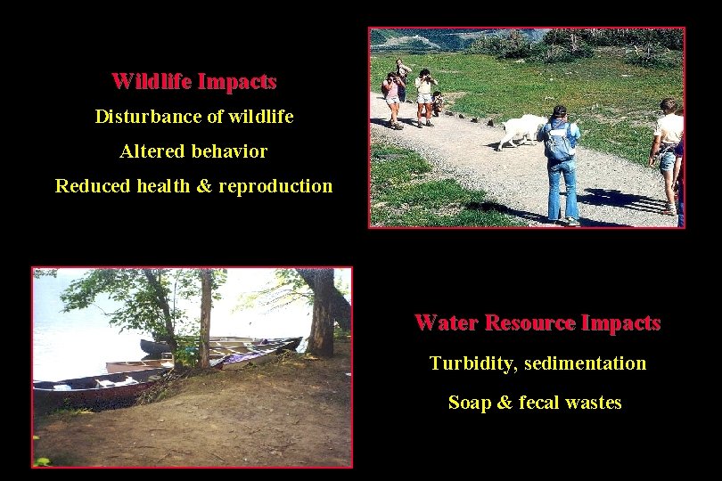 Wildlife Impacts Disturbance of wildlife Altered behavior Reduced health & reproduction Water Resource Impacts