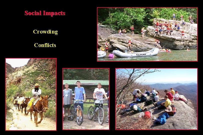 Social Impacts Crowding Conflicts 