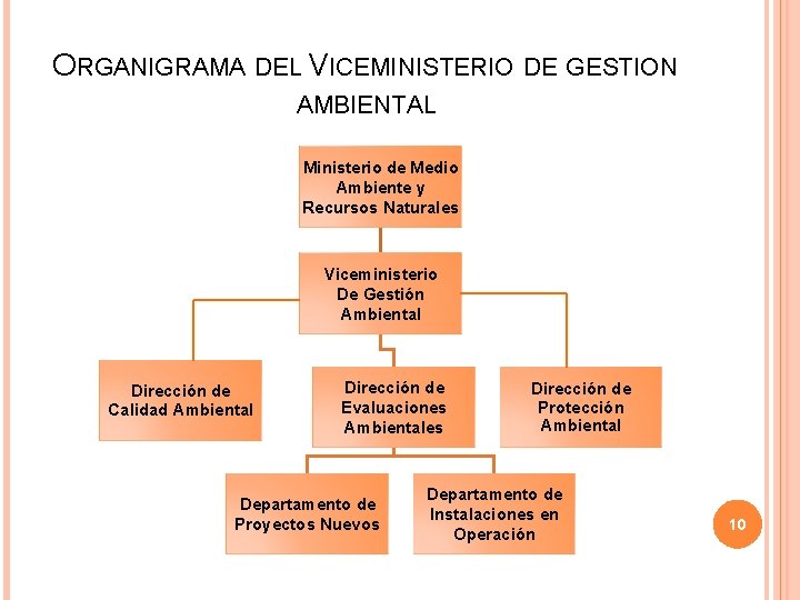 ORGANIGRAMA DEL VICEMINISTERIO DE GESTION AMBIENTAL Ministerio de Medio Ambiente y Recursos Naturales Viceministerio