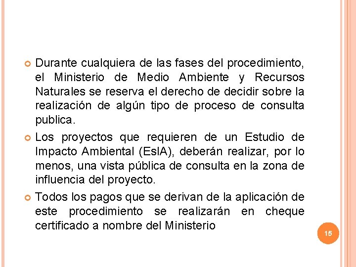 Durante cualquiera de las fases del procedimiento, el Ministerio de Medio Ambiente y Recursos