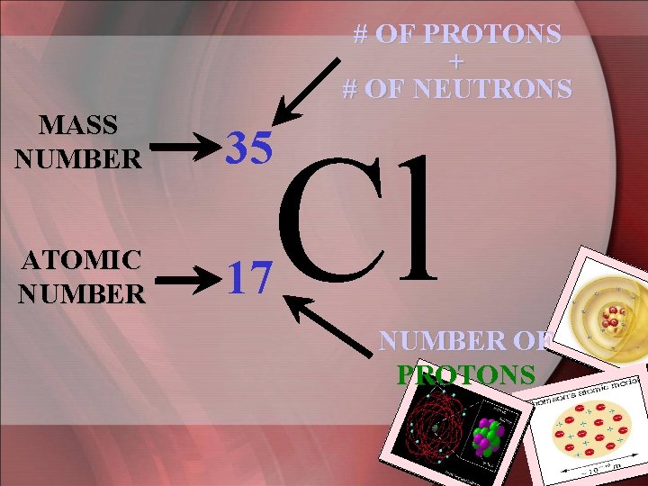 # OF PROTONS + # OF NEUTRONS MASS NUMBER 35 ATOMIC NUMBER 17 Cl