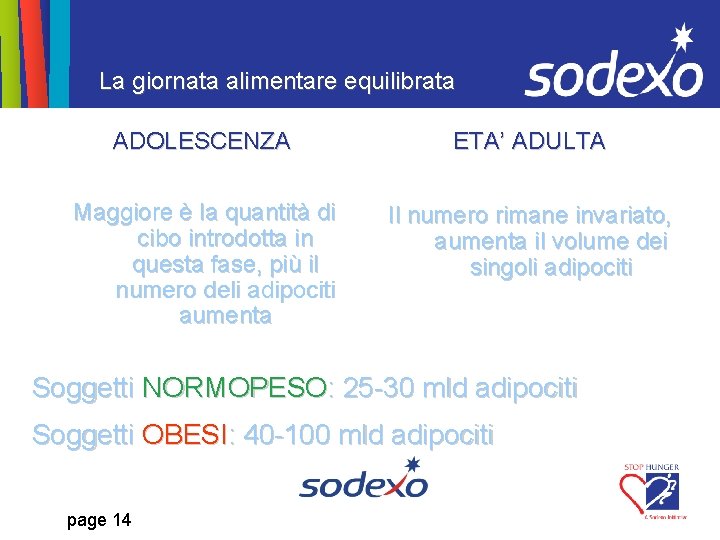 La giornata alimentare equilibrata ADOLESCENZA ETA’ ADULTA Maggiore è la quantità di cibo introdotta