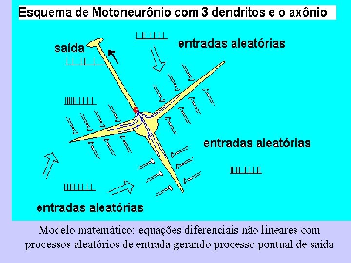 Modelo matemático: equações diferenciais não lineares com processos aleatórios de entrada gerando processo pontual