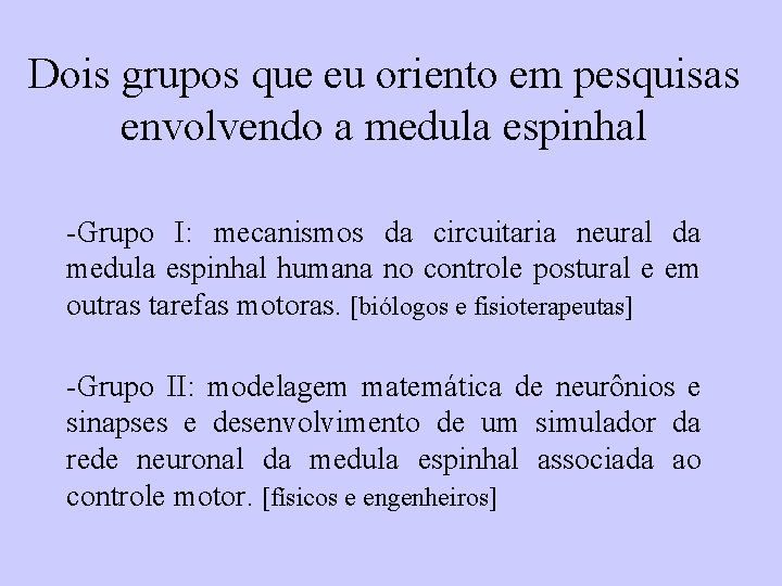 Dois grupos que eu oriento em pesquisas envolvendo a medula espinhal -Grupo I: mecanismos