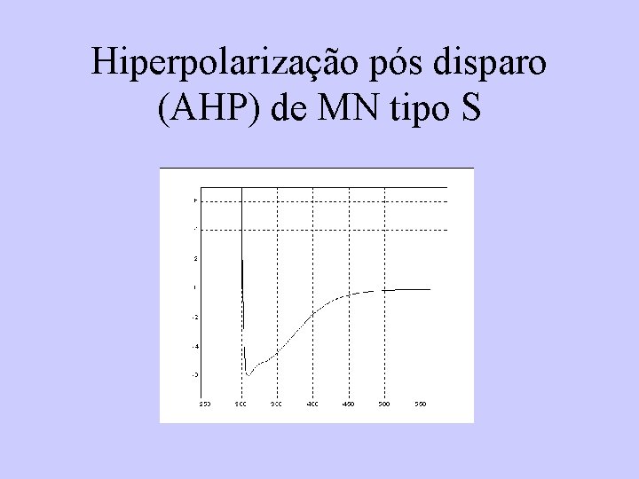 Hiperpolarização pós disparo (AHP) de MN tipo S 
