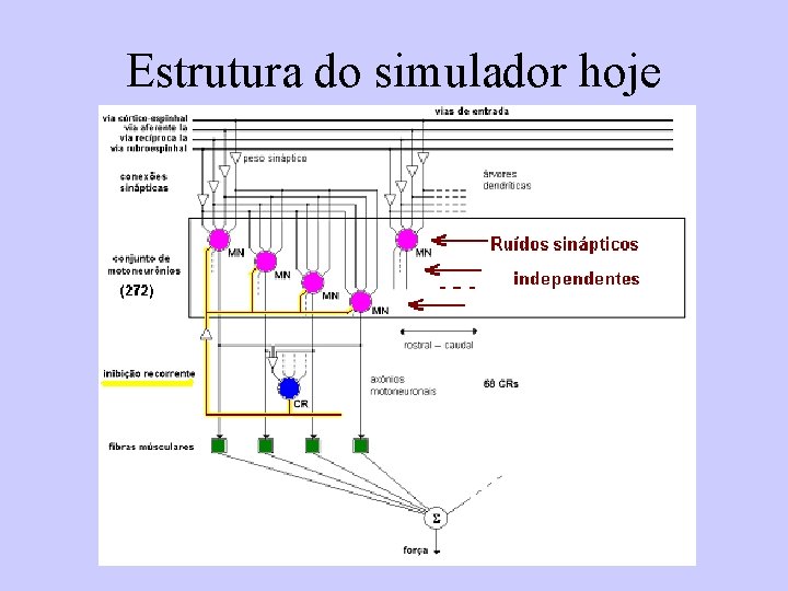 Estrutura do simulador hoje 