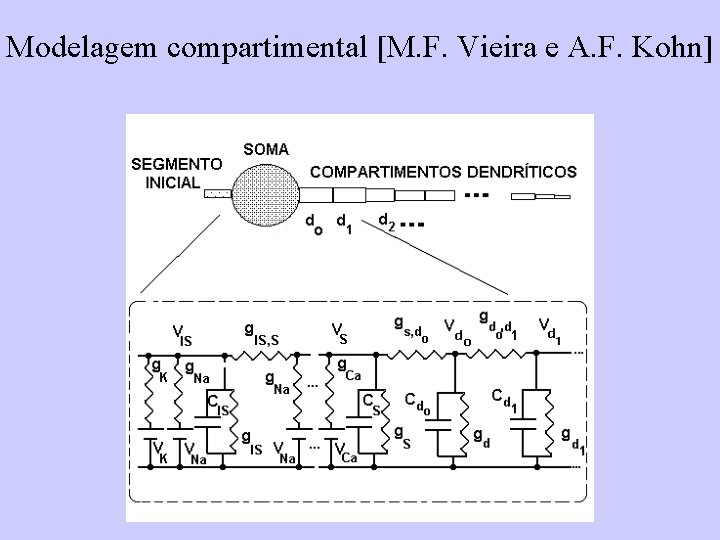 Modelagem compartimental [M. F. Vieira e A. F. Kohn] 