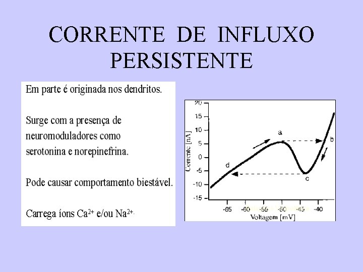 CORRENTE DE INFLUXO PERSISTENTE Em parte é originada nos dendritos. Surge com a presença