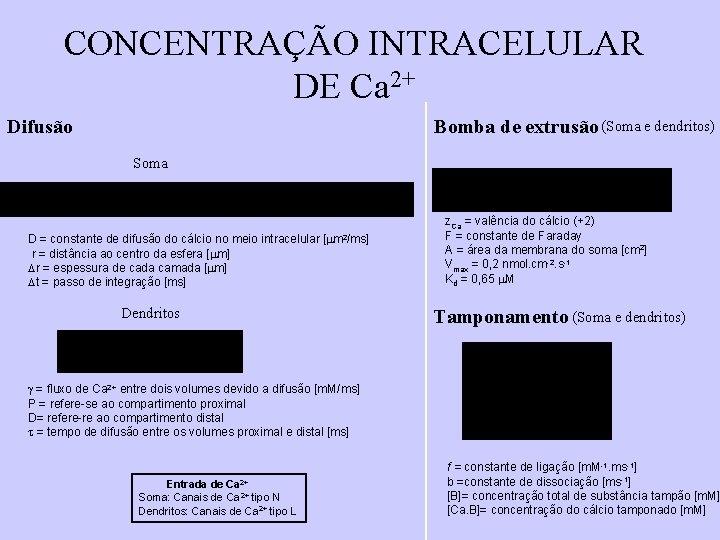 CONCENTRAÇÃO INTRACELULAR DE Ca 2+ Difusão Bomba de extrusão (Soma e dendritos) Soma D