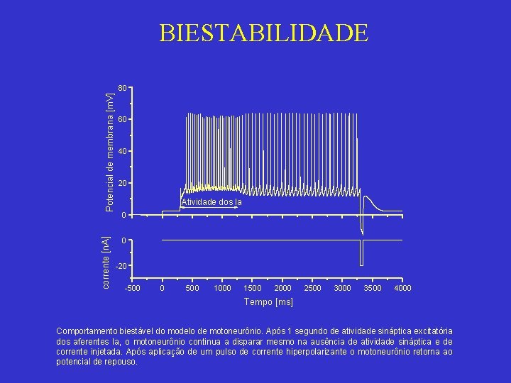 BIESTABILIDADE corrente [n. A] Potencial de membrana [m. V] 80 60 40 20 Atividade