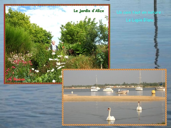 Le jardin d’Alice Un coin tout en nature : Le Lapin Blanc Maman 