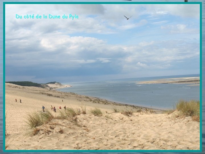 Du côté de la Dune du Pyla 