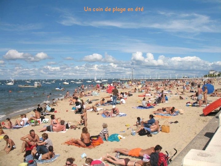 Un coin de plage en été 