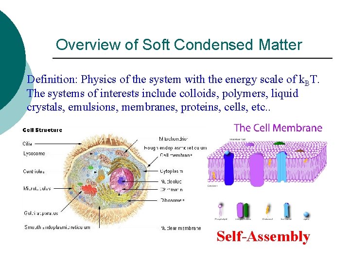 Overview of Soft Condensed Matter Definition: Physics of the system with the energy scale