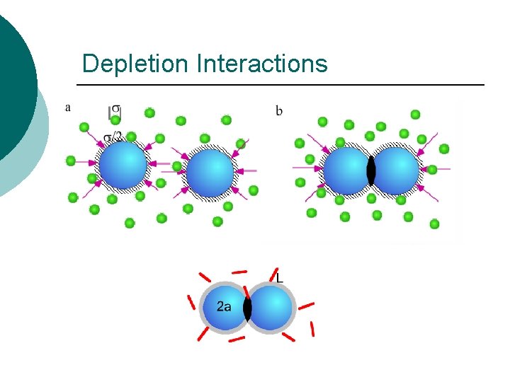 Depletion Interactions 