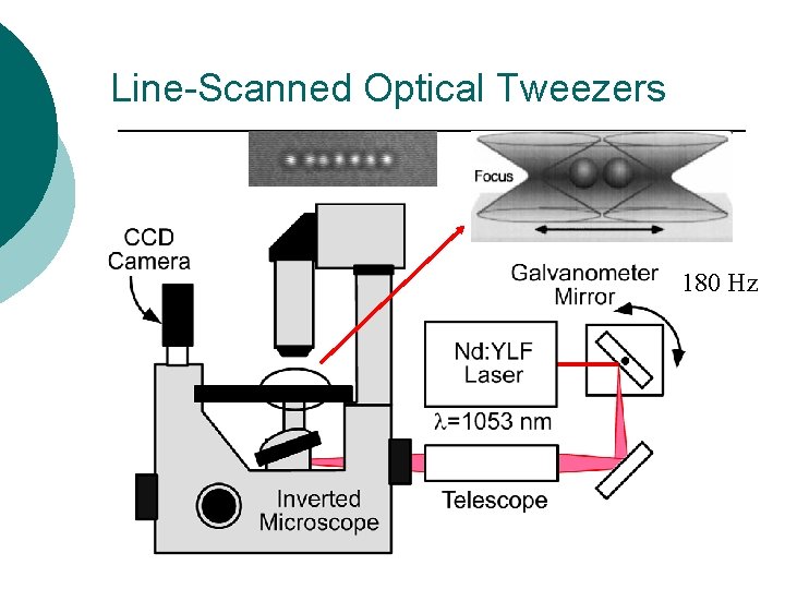 Line-Scanned Optical Tweezers 180 Hz 
