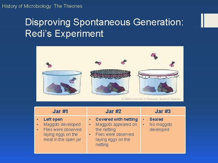 History of Microbiology: Theories Disproving Spontaneous Generation: Redi’s Experiment Jar #1 • • • History of Microbiology: Theories Disproving Spontaneous Generation: Redi’s Experiment Jar #1 • • •