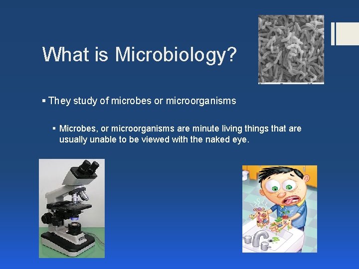 What is Microbiology? § They study of microbes or microorganisms § Microbes, or microorganisms What is Microbiology? § They study of microbes or microorganisms § Microbes, or microorganisms