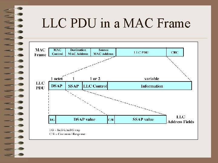 LLC PDU in a MAC Frame 