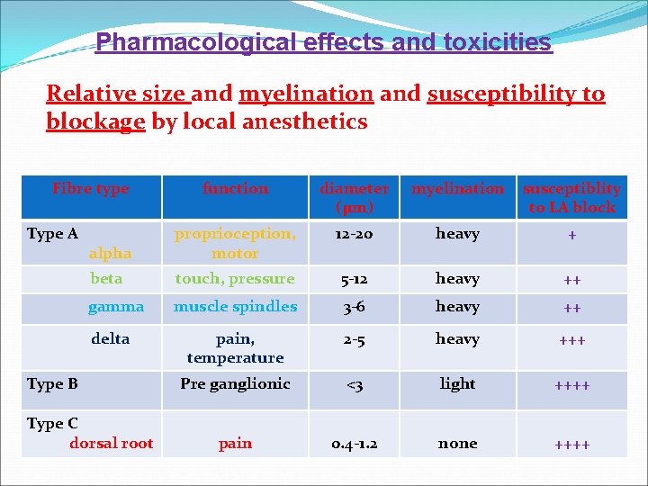 Pharmacological effects and toxicities Relative size and myelination and susceptibility to blockage by local