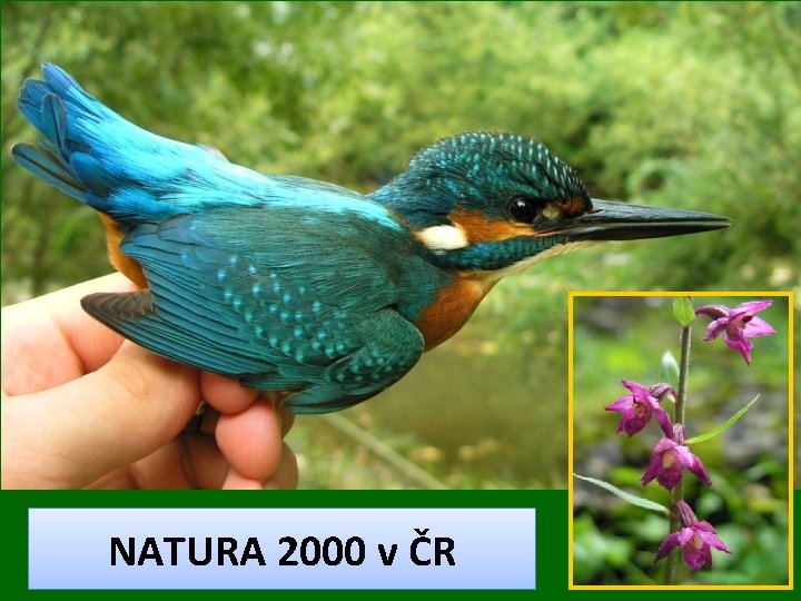 NATURA 2000 v ČR 