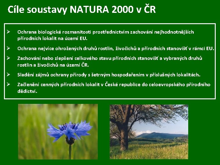 Cíle soustavy NATURA 2000 v ČR Ø Ochrana biologické rozmanitosti prostřednictvím zachování nejhodnotnějších přírodních