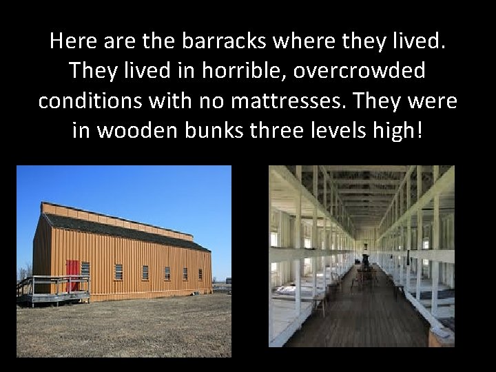Here are the barracks where they lived. They lived in horrible, overcrowded conditions with