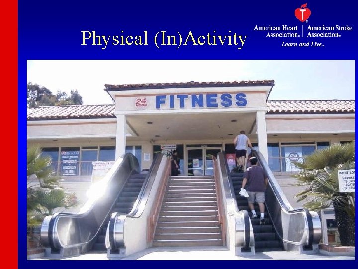 Physical (In)Activity 