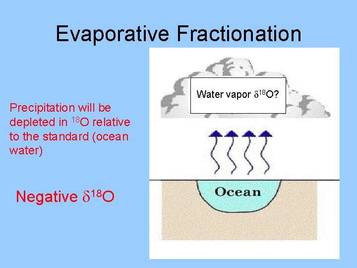 Evaporative Fractionation Water vapor d 18 O? Precipitation will be depleted in 18 O