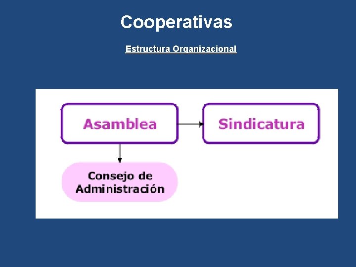 Cooperativas Estructura Organizacional 