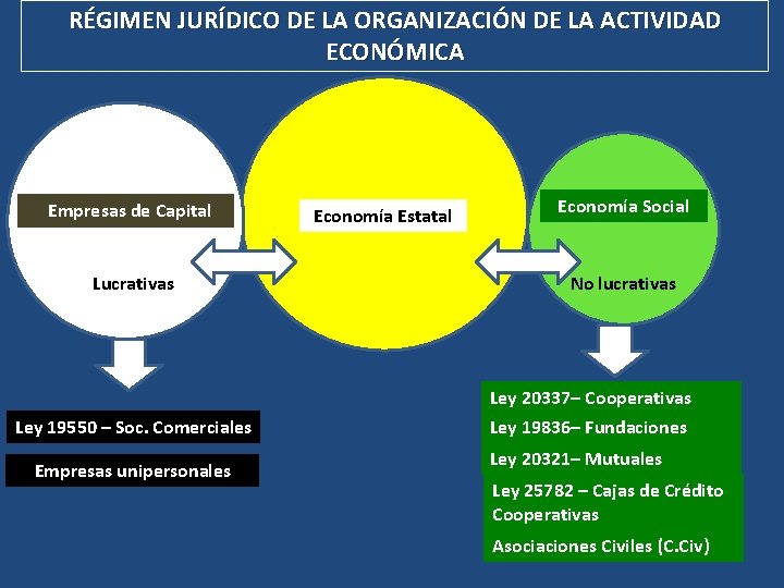 RÉGIMEN JURÍDICO DE LA ORGANIZACIÓN DE LA ACTIVIDAD ECONÓMICA Empresas de Capital Lucrativas Ley