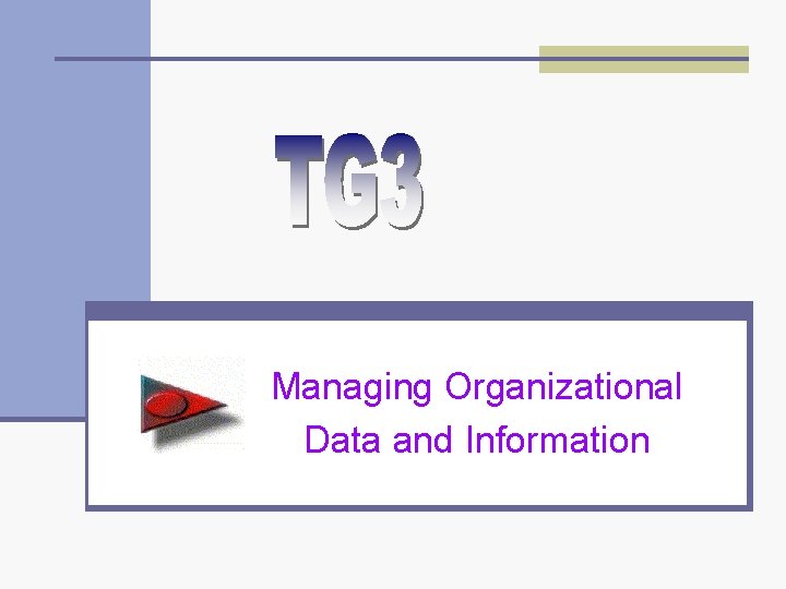 Managing Organizational Data and Information 