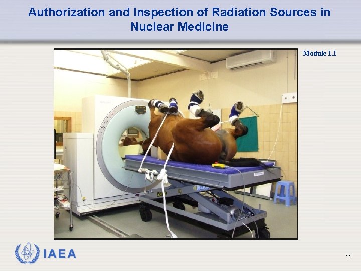 Authorization and Inspection of Radiation Sources in Nuclear Medicine Module 1. 1 11 