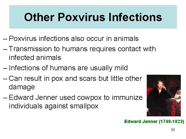 Other Poxvirus Infections – Poxvirus infections also occur in animals – Transmission to humans