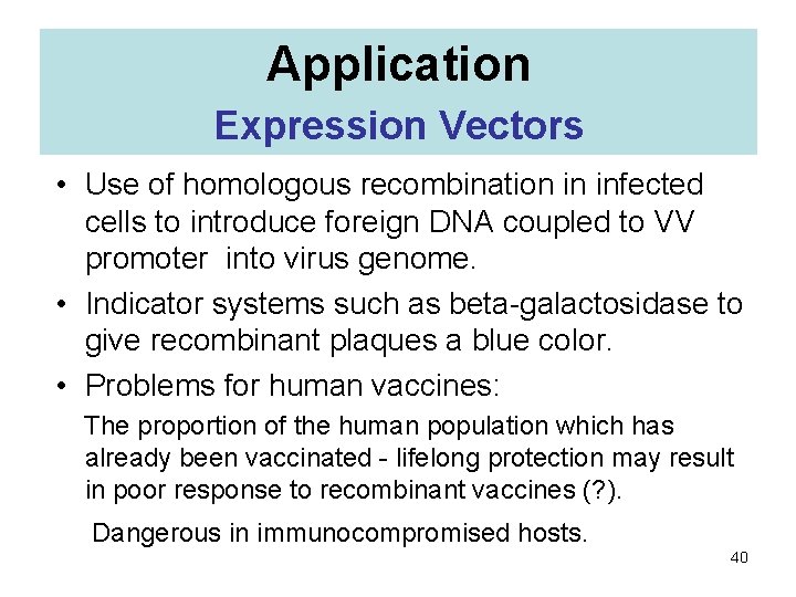 Application Expression Vectors • Use of homologous recombination in infected cells to introduce foreign